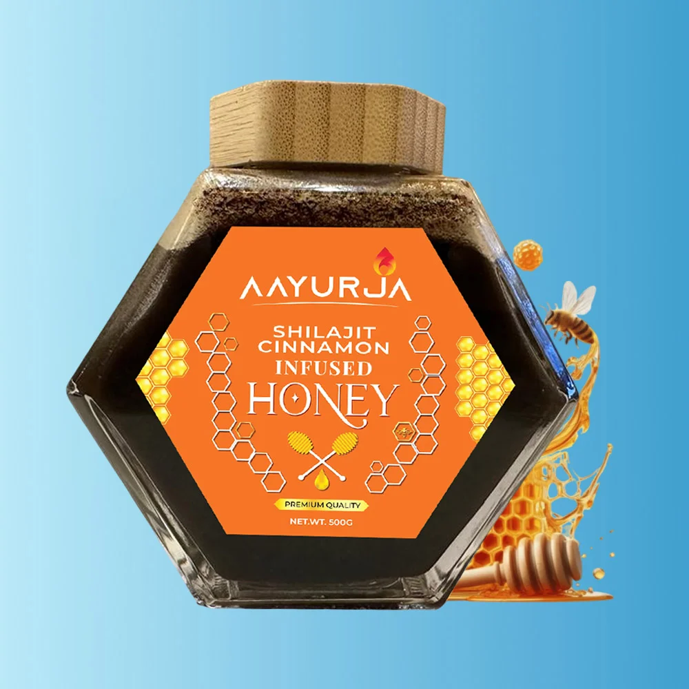 100% Pure Organic - Shilajit Cinnamon Infused Honey (500gm)